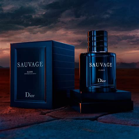 dior sauvage 2015 au|dior sauvage top notes.